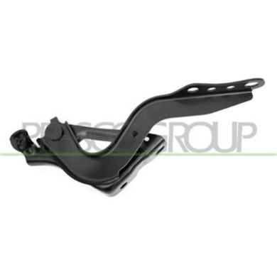 GUIDA_ALLA_SCELTA.JPG Cerniera Cofano Destra Per Toyota Rav 4 Dal 2019