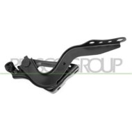 GUIDA_ALLA_SCELTA.JPG Cerniera Cofano Destra Per Toyota Rav 4 Dal 2019