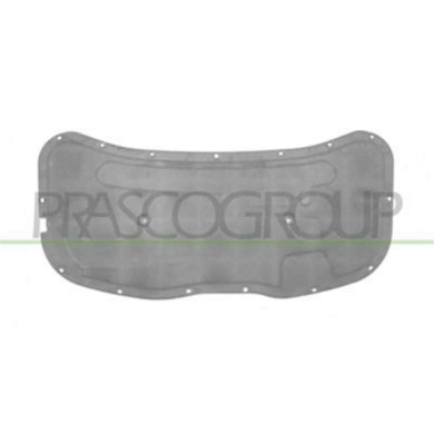 VG0211945_2.JPG Pannello Insonorizzatore Cofano Per Volkswagen Polo Dal 2001 Al 2005