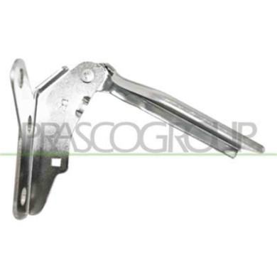 GUIDA_ALLA_SCELTA.JPG Cerniera Cofano Sinistra Per Volkswagen Polo Dal 2005 Al 2009