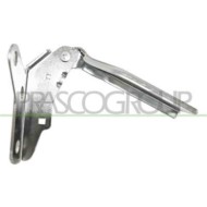 GUIDA_ALLA_SCELTA.JPG Cerniera Cofano Sinistra Per Volkswagen Polo Dal 2005 Al 2009