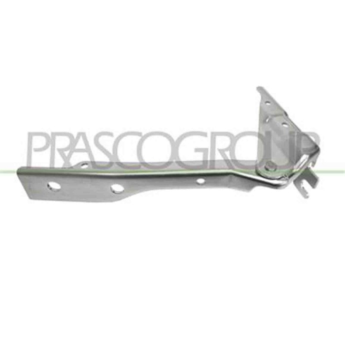 GUIDA_ALLA_SCELTA.JPG Cerniera Cofano Destra Per Volkswagen Polo Dal 2009 Al 2014