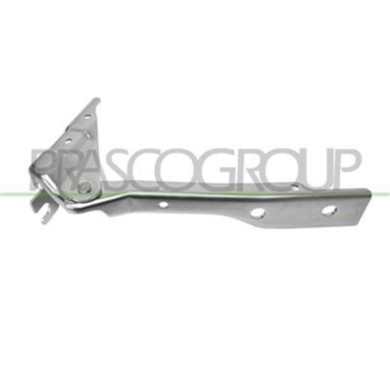 GUIDA_ALLA_SCELTA.JPG Cerniera Cofano Sinistra Per Volkswagen Polo Dal 2009 Al 2014