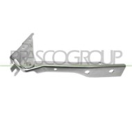 GUIDA_ALLA_SCELTA.JPG Cerniera Cofano Sinistra Per Volkswagen Polo Dal 2009 Al 2014
