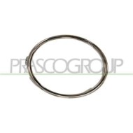 GUIDA_ALLA_SCELTA.JPG Cornice Fendinebbia Sinistra Cromata Per Volkswagen Golf Vi Dal 2008 Al 2012