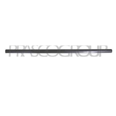 VG0521413_2.JPG Modanatura Porta Anteriore Destra Per Volkswagen Passat B5 Dal 1996 Al 2000
