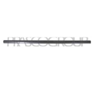 VG0521414_2.JPG Modanatura Porta Anteriore Sinistra Per Volkswagen Passat B5 Dal 1996 Al 2000
