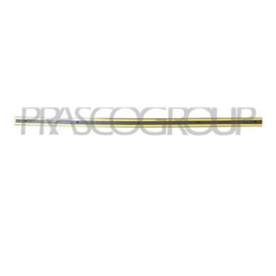 VG0521423_1.JPG Modanatura Porta Anteriore Destra Con Primer Per Volkswagen Passat B5 Dal 1996 Al 2000