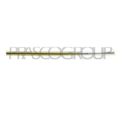 VG0521424_1.JPG Modanatura Porta Anteriore Sinistra Con Primer Per Volkswagen Passat B5 Dal 1996 Al 2000