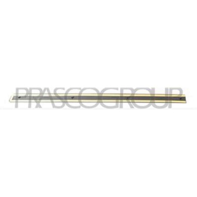 VG0521463_1.JPG Modanatura Porta Posteriore Destra Con Primer Per Volkswagen Passat B5 Dal 1996 Al 2000