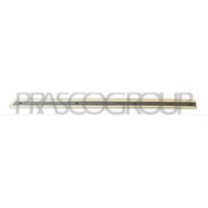 VG0521463_1.JPG Modanatura Porta Posteriore Destra Con Primer Per Volkswagen Passat B5 Dal 1996 Al 2000