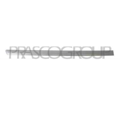 VG0521463_2.JPG Modanatura Porta Posteriore Destra Con Primer Per Volkswagen Passat B5 Dal 1996 Al 2000