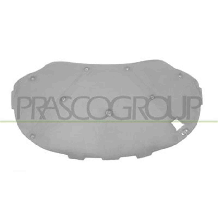 VG0541945_1.JPG Pannello Insonorizzatore Cofano Per Volkswagen Passat B6 Dal 2005 Al 2010