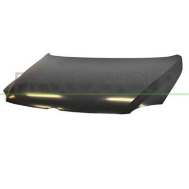 VG3303100_1.JPG Cofano Per Volkswagen Fox Dal 2004 Al 2009