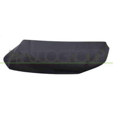 VG8073100_1.JPG Cofano Per Volkswagen Tiguan Dal 2007 Al 2011
