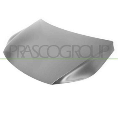 VG8073130_1.JPG Cofano Per Volkswagen Tiguan Dal 2007 Al 2011