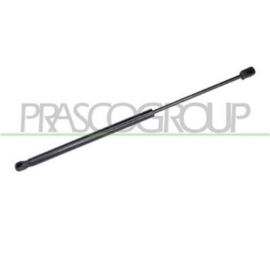 VG8079055_2.JPG Molla A Gas Destra O Sinistra Portellone Posteriore Per Volkswagen Tiguan Dal 2007 Al 2011