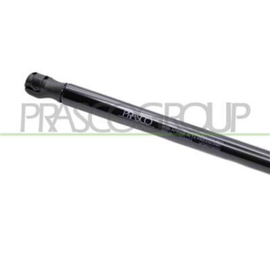 VG8079055_3.JPG Molla A Gas Destra O Sinistra Portellone Posteriore Per Volkswagen Tiguan Dal 2007 Al 2011