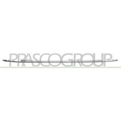 VG8101265_1.JPG Modanatura Centrale Cromata Per Volkswagen Tiguan Dal 2016 Al 2020