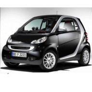 00502.JPG Piastra Specchio Termica Per Smart Fortwo Lato Sinistro Dal 2007/01 Al 2014/09