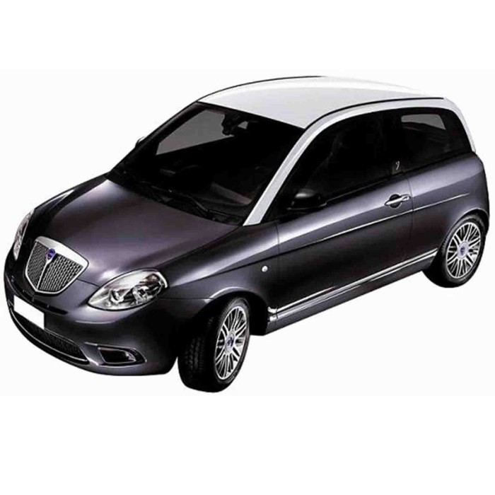 00784.JPG Piastra Specchio Per Lancia Y Lato Destro Dal 2010/06 Al 2011/04