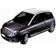 00784.JPG Piastra Specchio Per Lancia Y Lato Destro Dal 2010/06 Al 2011/04