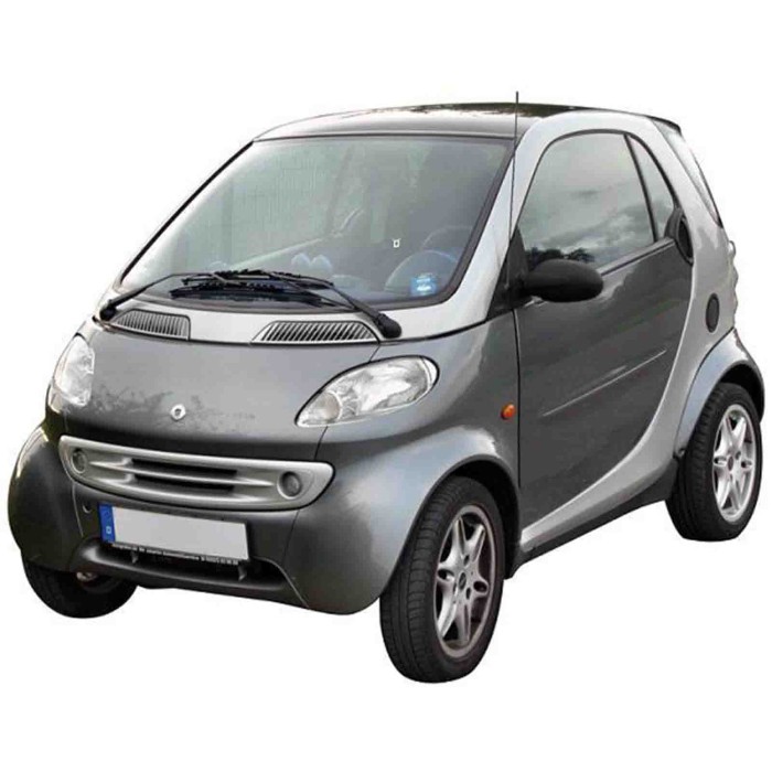 00788.JPG Piastra Specchio Per Smart Fortwo Lato Destro Dal 1998/09 Al 2002/03