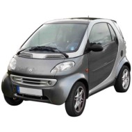 00788.JPG Piastra Specchio Per Smart Fortwo Lato Destro Dal 1998/09 Al 2002/03