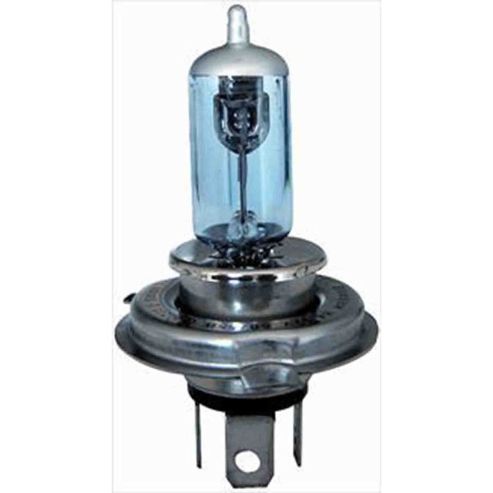 001170_AUTO.JPG Lampada H4 24/75/70 Blue View Per H4