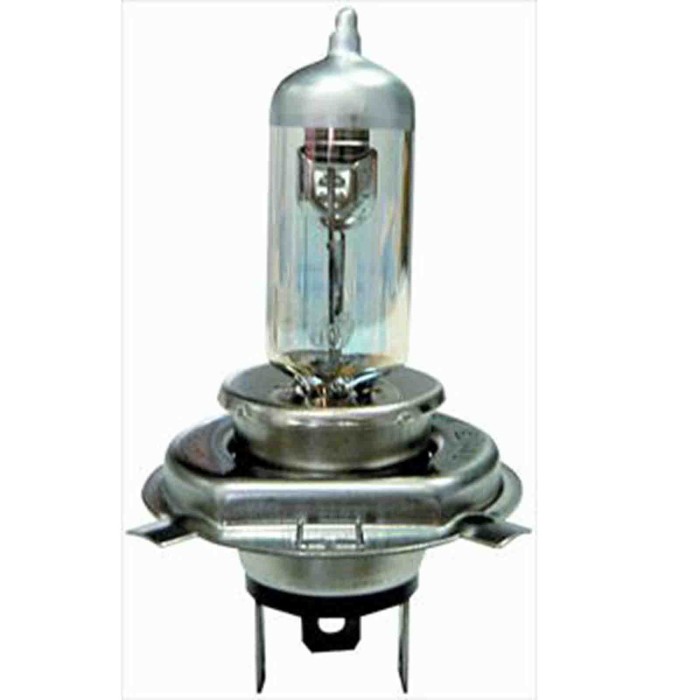 001170_AUTO.JPG Lampada H4 12/60/55 Day View Per H4