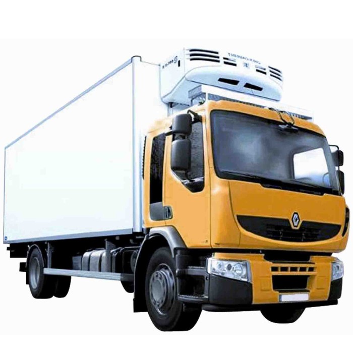 25210.JPG Proiettore H1-h7 S/fendinebbia Elettrico Senza Motore Per Renault Premium Lato Destro Dal 2001/07