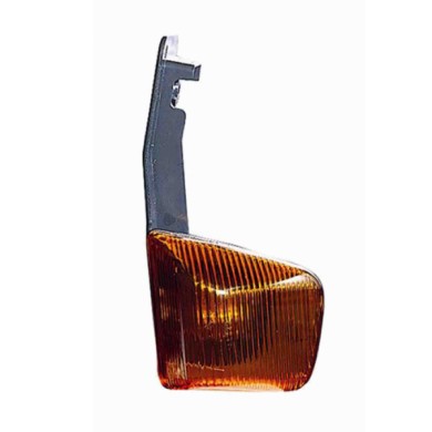 000619_AUTO.JPG Gruppo Ottico Laterale Arancio Per Iveco Stralis Lato Destro Dal 2002/02
