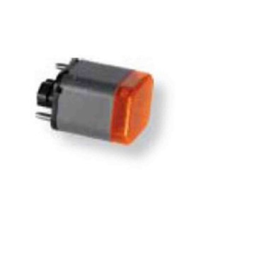000618_AUTO.JPG Gruppo Ottico Lat. Arancio Per Iveco Eurocargo Dal 2003/09