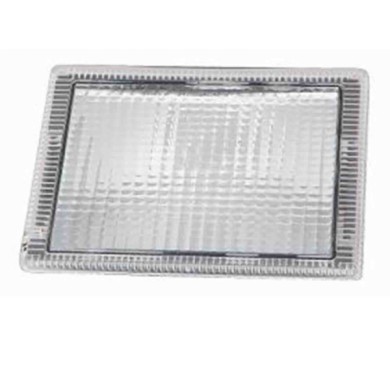 000556_AUTO.JPG Fanale Lat. Bianco Per Scania Serie P - R Dal 2006
