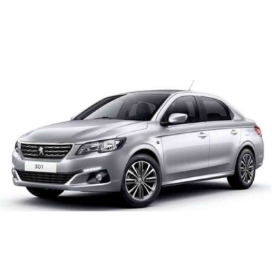 508410.JPG Gruppo Ottico Posteriore Bianco - Rosso Per Peugeot 301 Lato Destro Dal 2017/01
