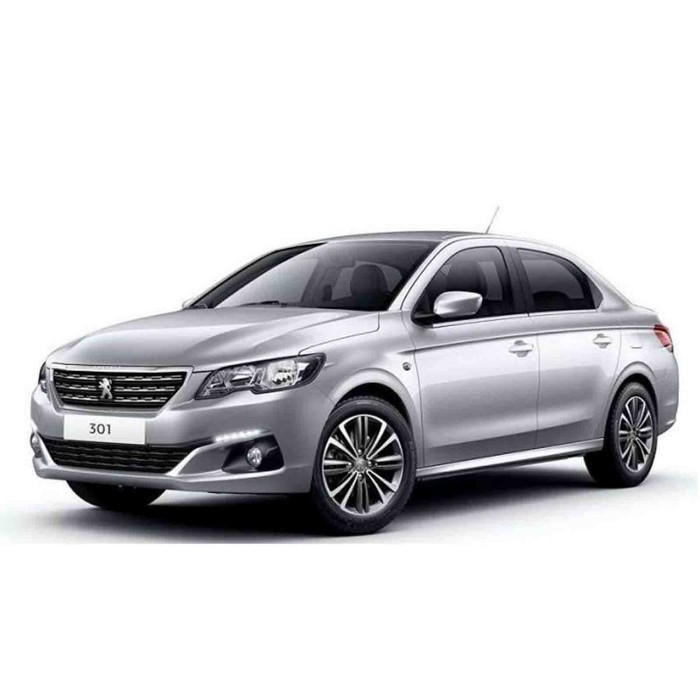 508410.JPG Gruppo Ottico Posteriore Bianco - Rosso Per Peugeot 301 Lato Sinistro Dal 2017/01