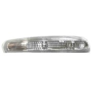 001007_AUTO.JPG Fanale Retrovisore Per Chevrolet (ex Daewoo) Captiva Lato Destro Dal 2006/07 Al 2010/12