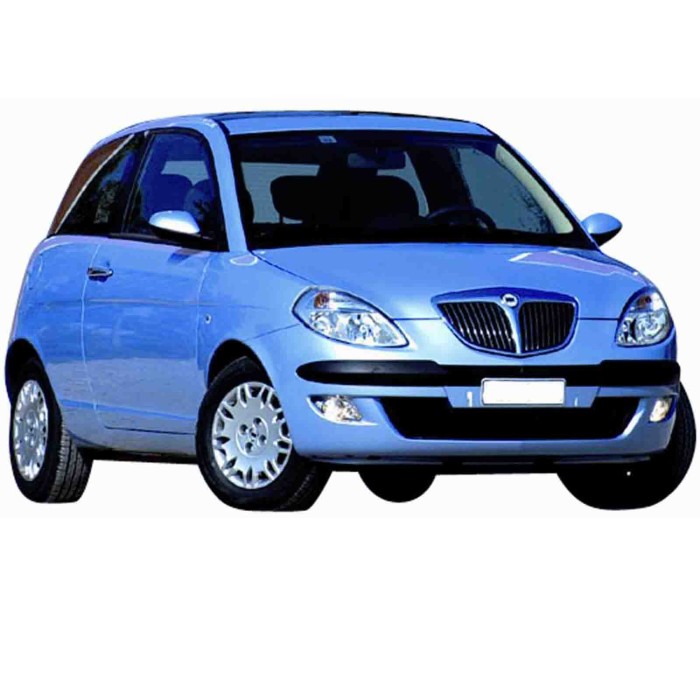 87600.JPG Retrovisore Meccanico Per Lancia Y Lato Destro Dal 2003/09 Al 2006/08
