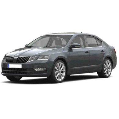 D00821D.JPG Fendinebbia H8 Per Skoda Octavia Lato Destro Dal 2017/01 Al 2020/06