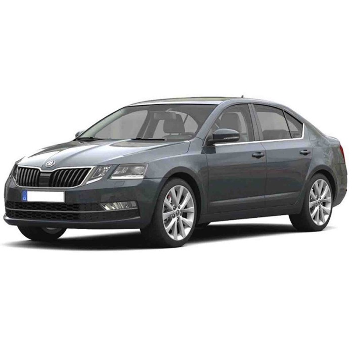 D00821D.JPG Fendinebbia H8 Per Skoda Octavia Lato Destro Dal 2017/01 Al 2020/06