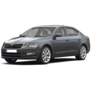 D00821D.JPG Fendinebbia H8 Per Skoda Octavia Lato Destro Dal 2017/01 Al 2020/06