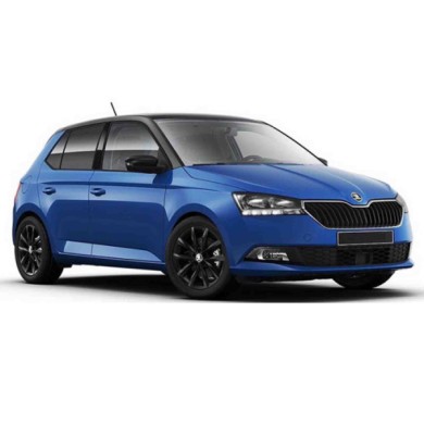 D00823D.JPG Fendinebbia H8 Per Skoda Fabia Lato Destro Dal 2018/09 Al 2021/05