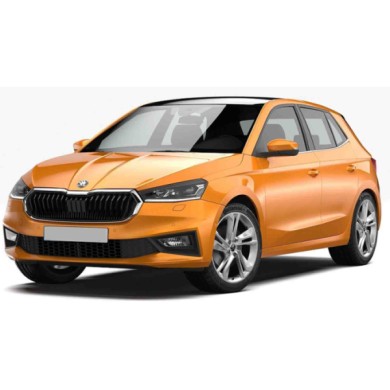 R03054D.JPG Calotta Nera Per Skoda Fabia Lato Destro Dal 2021/06