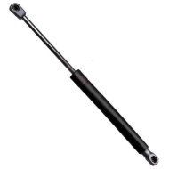 000137_AUTO.JPG Molla A Gas Per Ford Focus Dal 2001/10 Al 2004/12