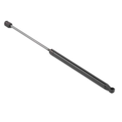 000702_AUTO.JPG Molla A Gas Per Fiat Bravo Dal 2007/02