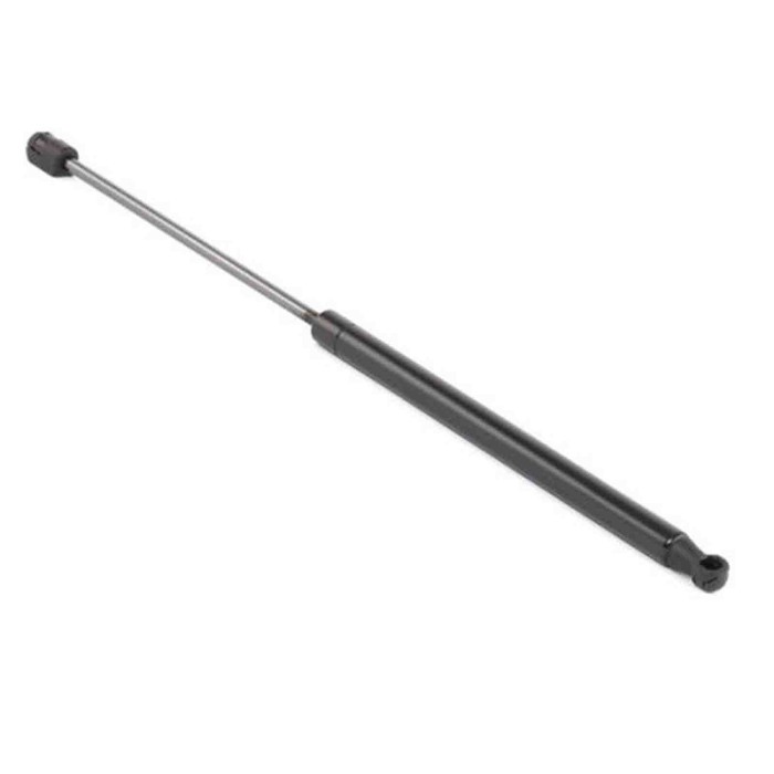 000702_AUTO.JPG Molla A Gas Per Fiat Bravo Dal 2007/02