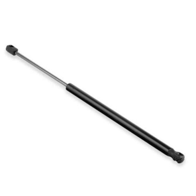 000356_AUTO.JPG Molla A Gas Per Renault Scenic Dal 2003/05 Al 2006/08