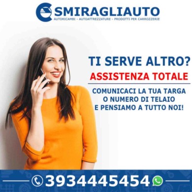 148514-large_default.jpg Arexons Lavavetri Dp1 - 20° C 8415 4,5l Detergente Tergicristalli
