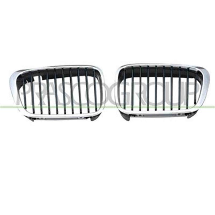 GUIDA_ALLA_SCELTA.JPG Griglia Radiatore Destra Per Bmw 3 Series - E46 Dal 1998 Al 2001