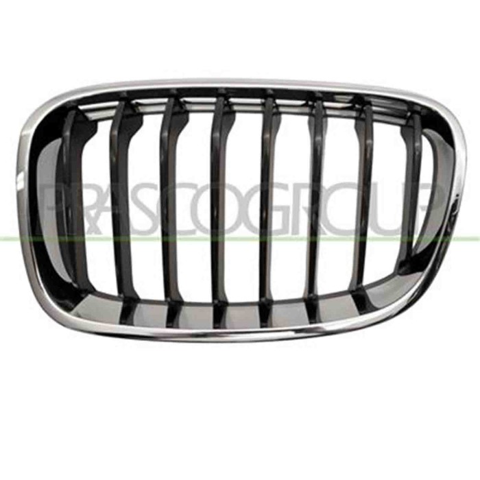 GUIDA_ALLA_SCELTA.JPG Griglia Radiatore Sinistra Per Bmw 1 Series - F20/f21 Dal 2011 Al 2015